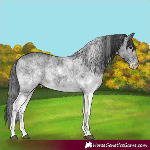Horse Color:White Spotted Black 