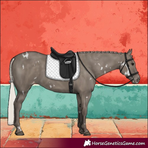 Horse Color:White Spotted Silver Grullo Skewed LP Spotted Rabicano