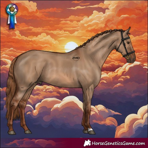Horse Color:Red Dun Rabicano 