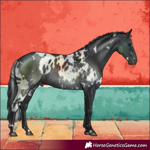 Horse Color:White Spotted Black Skewed LP Spotted Rabicano