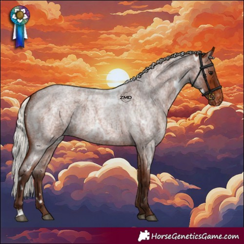 Horse Color:White Spotted Silver Brown Roan Skewed LP Spotted Rabicano 