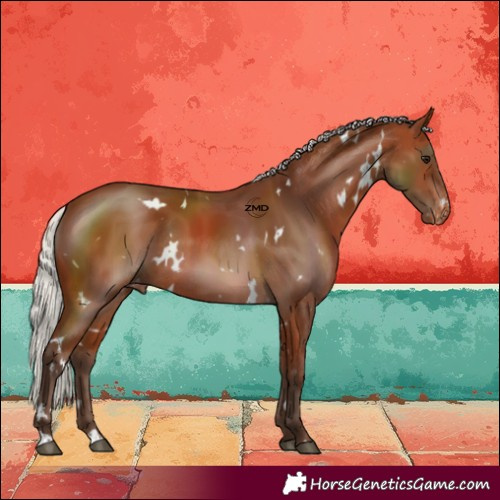Horse Color:White Spotted Silver Bay Skewed LP Spotted Rabicano 