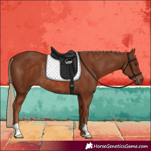 Horse Color:Chestnut Rabicano 