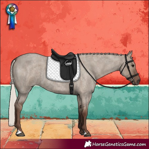 Horse Color:Silver Grullo Roan Rabicano 