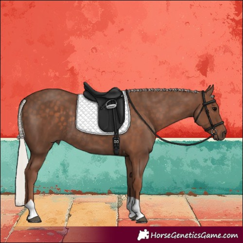 Horse Color:Silver Black Tobiano Rabicano