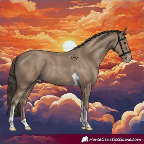 Horse Color:Classic Champagne Tobiano Rabicano