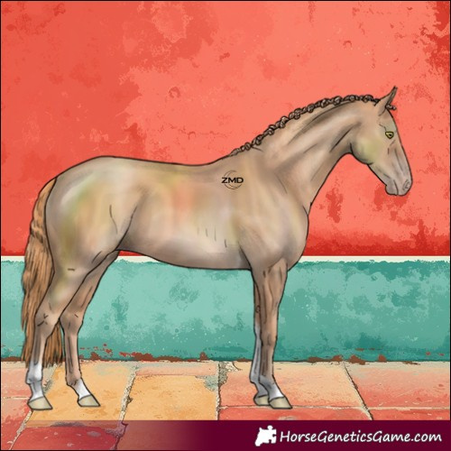 Horse Color:Gold Champagne Tobiano