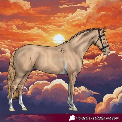 Horse Color:Gold Champagne Tobiano Rabicano