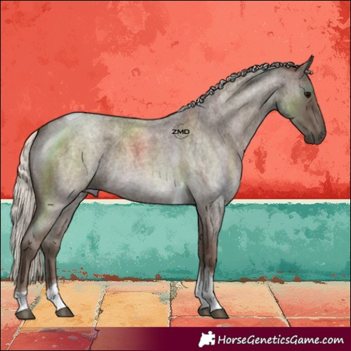 Horse Color:Silver Blue Roan Tobiano 