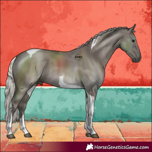 Horse Color:Silver Smoky Grullo Tobiano 
