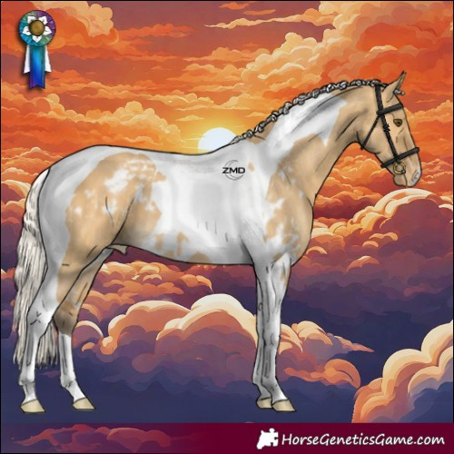 Horse Color:Silver Buckskin Dun Tobiano Skewed LP Spotted 