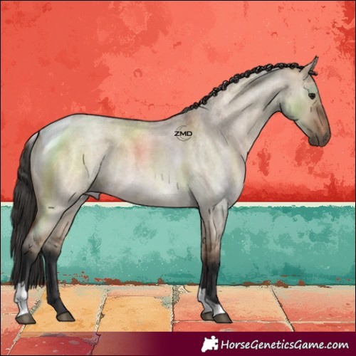 Horse Color:Bay Roan Dun Tobiano 