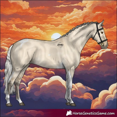 Horse Color:Silver Buckskin Dun Tobiano 