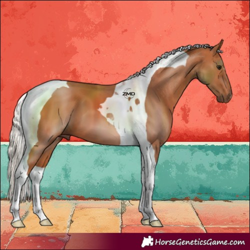 Horse Color:Silver Bay Tobiano