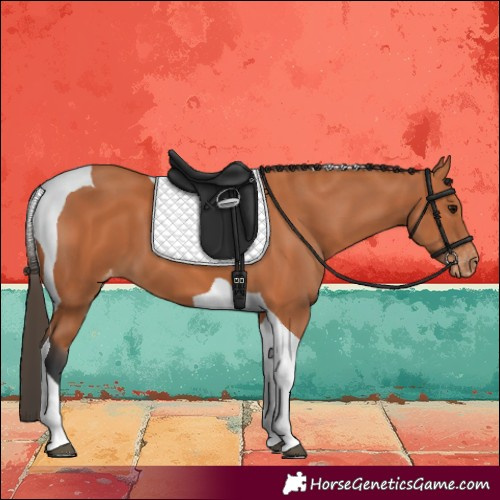 Horse Color:Bay Tobiano Skewed LP Spotted
