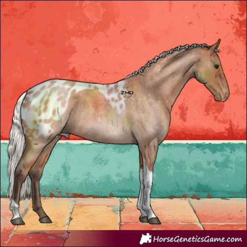 Horse Color:Silver Bay Roan Tobiano Skewed LP Spotted 