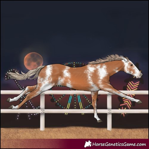 Horse Color:Chestnut Sabino 