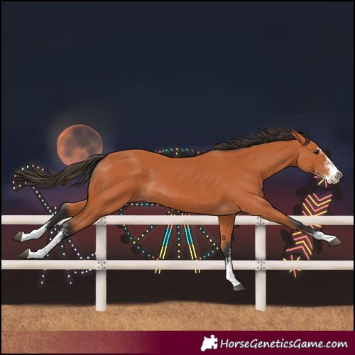 Horse Color:Bay Sabino 