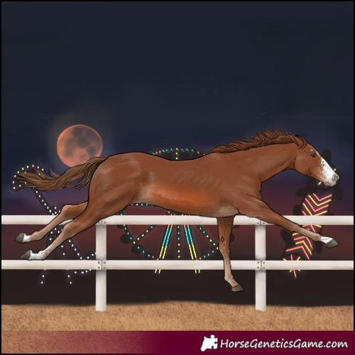 Horse Color:Chestnut Sabino 