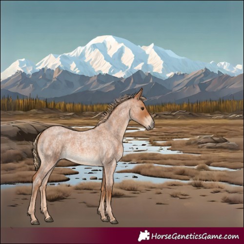 Horse Color:Red Roan