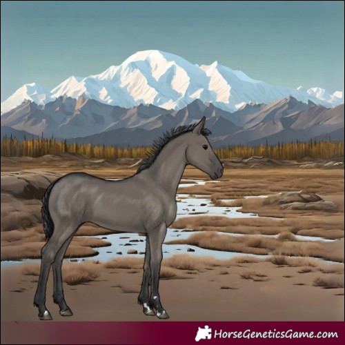 Horse Color:Grullo