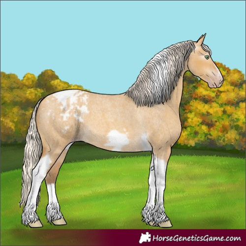 Horse Color:Gray Silver Amber Cream Champagne Roan Dun Splash Tobiano Frame Varnish Rabicano