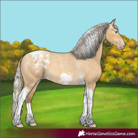 Horse Color:Gray Silver Amber Cream Champagne Roan Dun Splash Tobiano Frame Varnish Rabicano 