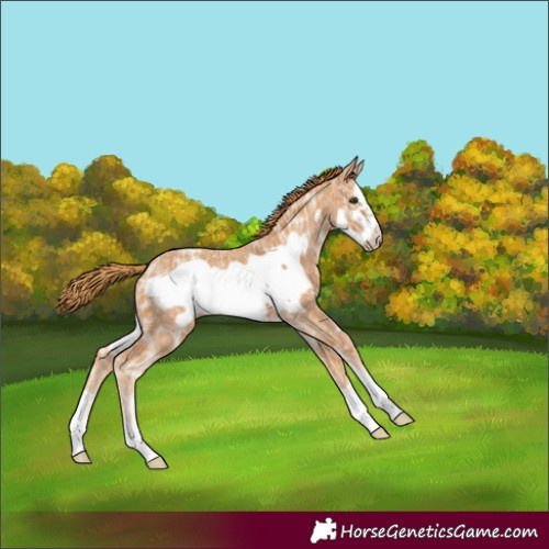 Horse Color:Chestnut Ice Frame
