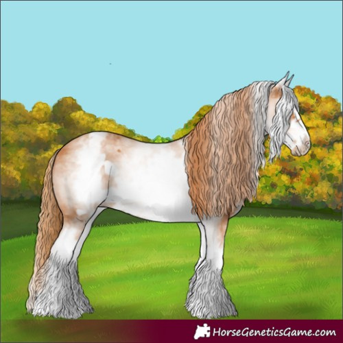 Horse Color:White Spotted Chestnut Frame 
