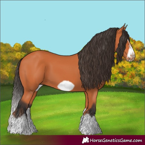 Horse Color:Bay Splash Frame