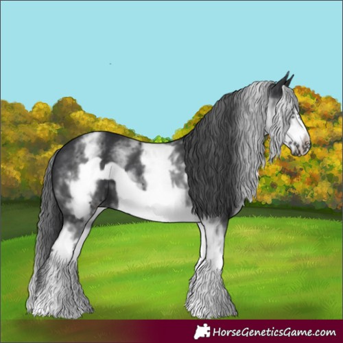 Horse Color:White Spotted Black Frame 