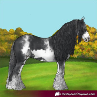 Horse Color:White Spotted Black Frame