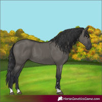 Horse Color:Grullo