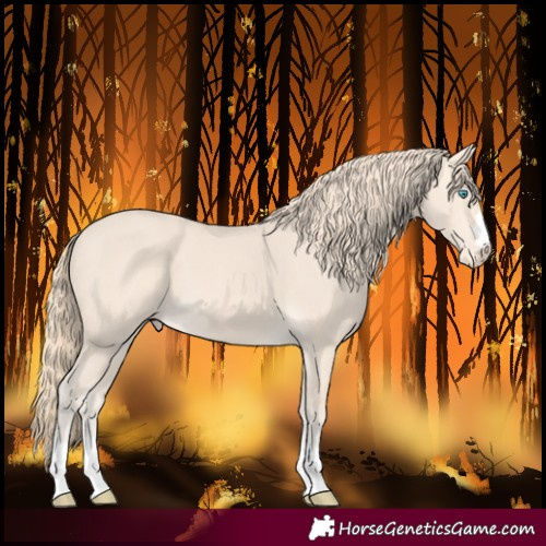 Horse Color:Perlino Varnish