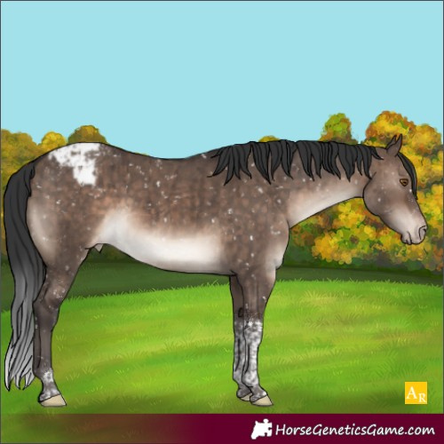 Horse Color:Brown Dun Mushroom Tobiano Snowcap Brindle