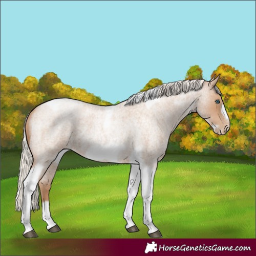Horse Color:Silver Blue Roan Pearl Tobiano Frame 