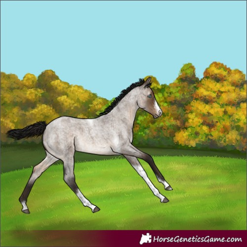 Horse Color:Gray Brown Roan Dun Mushroom Tobiano Frame Varnish