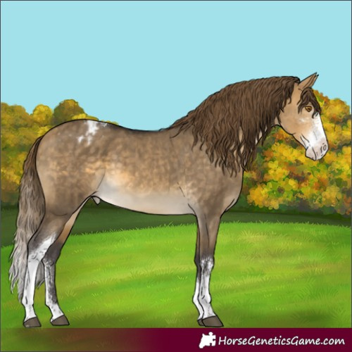 Horse Color:Buckskin Dun Mushroom Sabino Tobiano Varnish Brindle 