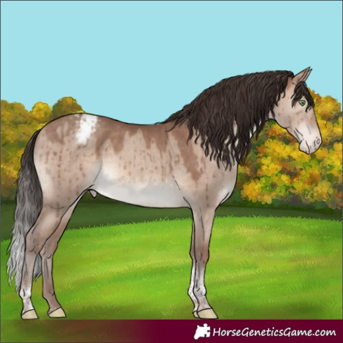 Horse Color:Sable Champagne Dun Tobiano Snowcap Brindle