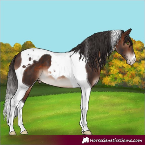 Horse Color:Brown Mushroom Tobiano Snowcap 