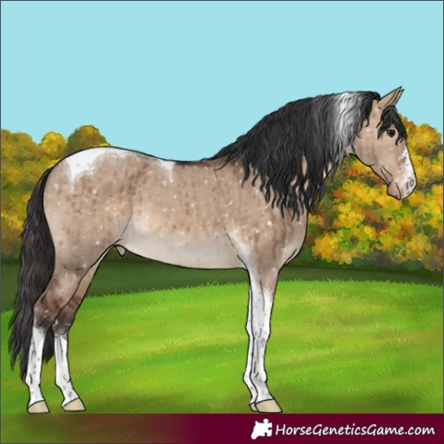 Horse Color:Brown Dun Tobiano Snowflake Varnish Brindle