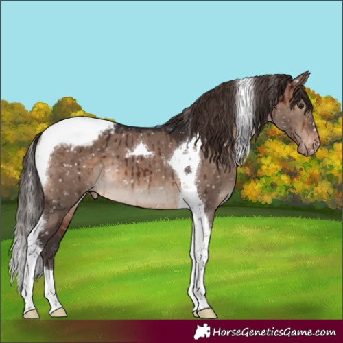 Horse Color:Brown Dun Mushroom Tobiano Snowcap Brindle 