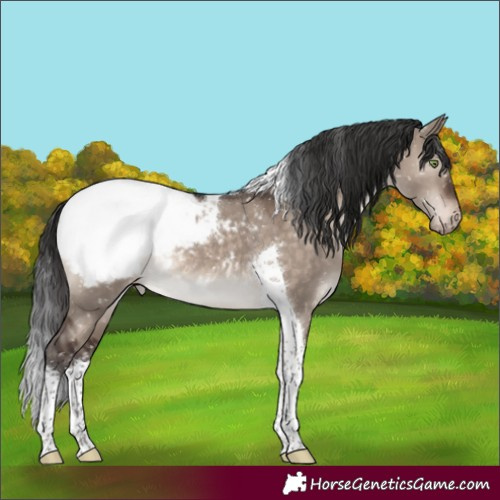 Horse Color:Brown Dun Mushroom Tobiano Snowcap