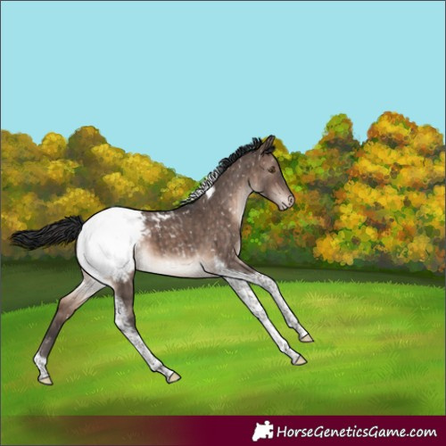 Horse Color:Brown Dun Mushroom Tobiano Snowcap Brindle 