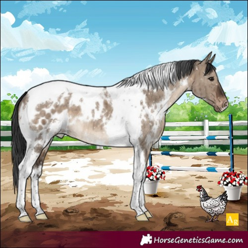 Horse Color:White Spotted Brown Dun Tobiano Blanket Brindle 