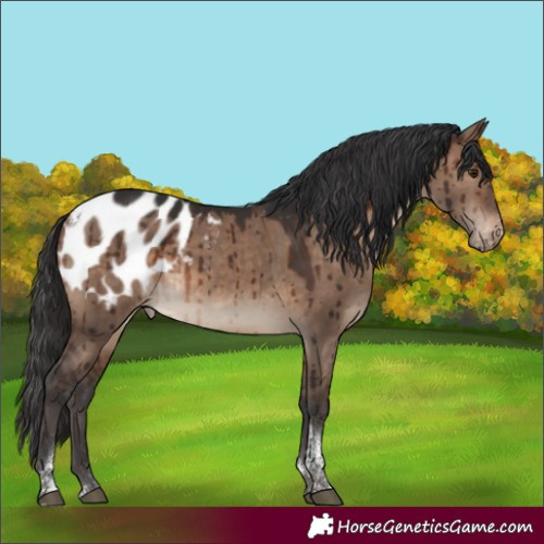 Horse Color:Brown Dun Tobiano Blanket Brindle 