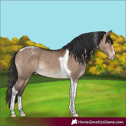 Horse Color:Brown Dun Tobiano Varnish 