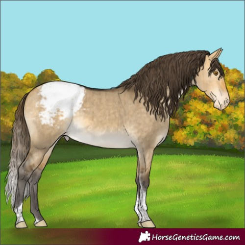 Horse Color:Buckskin Dun Mushroom Tobiano Snowcap Brindle