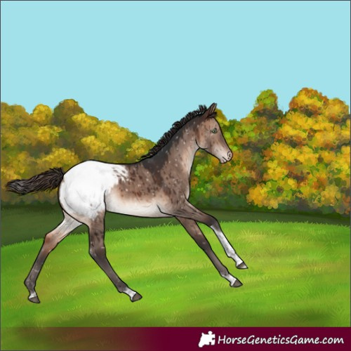 Horse Color:Brown Dun Mushroom Tobiano Snowcap Brindle