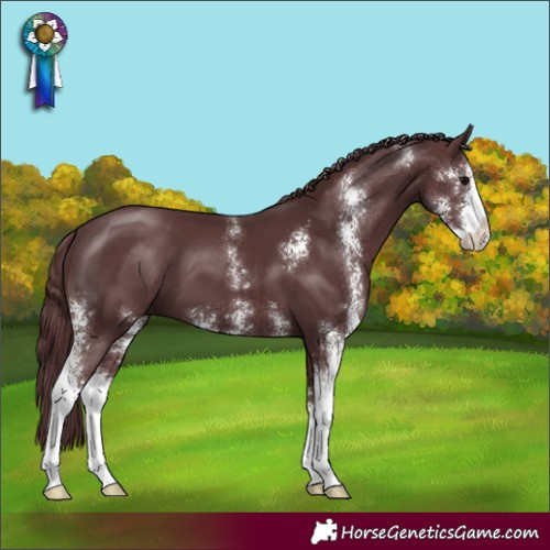 Horse Color:Chocolate Black Sabino
